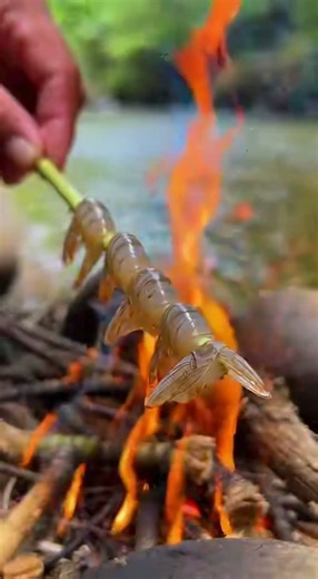 Stream Survival: Catch & Cook Wild Jungle Shrimp 🔥🦐