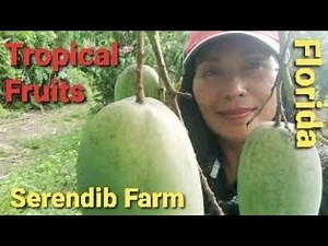Tropical Fruit Tour | Serendib Farms | Redland, Florida
