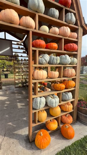 We had the absolute best time at Stocker Farms!! The huge slides, bounce mats, zip lines, donuts, apple cider, trikes and so much more 😃 We went on a weekday so there were practically no lines! We also scored some incredible pumpkins that we plan on carving before the Seahawks game Monday night 🎃 Thank you Stocker Farms for being so EPIC 🔥 | Snohomish County Life