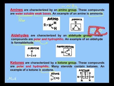 introduction biochemistry Lec 2