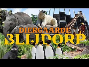 Rotterdam Zoo Feels World-Class! But Its Future Is Uncertain... | Blijdorp Review
