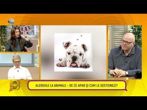 Follow us! - Dr. Dragos Dumitrescu: cum ne protejam animalele de companie in perioada primaverii?