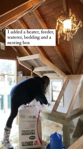 DIY Brooder Box