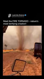 1.2M views · 23K reactions | Explaining The Universe Teaches you something NEW every day 易 | Explaining Everything | Facebook