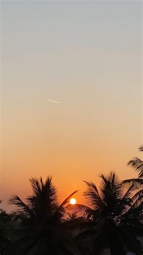 Nature + Technology in one frame - Spotted this in the evening sky… any guesses?