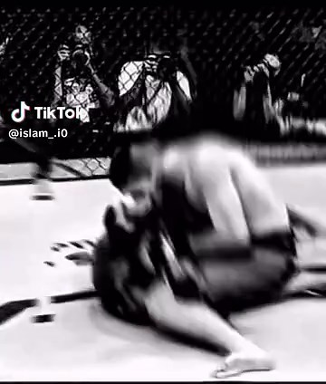 Update on My Posting Schedule and Content Plans