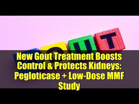 New Gout Treatment Boosts Control & Protects Kidneys: Pegloticase + Low-Dose MMF Study