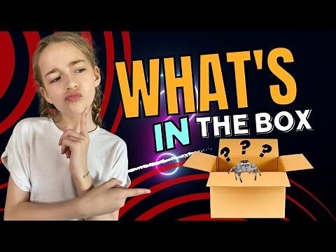 New Jumping Spider Reveal: Unboxing & First Impressions