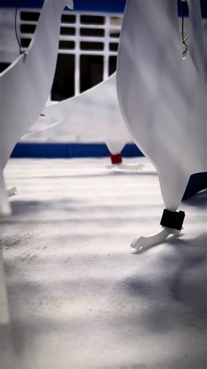 Discover the Magic Pigeon Wand for Racing Pigeons