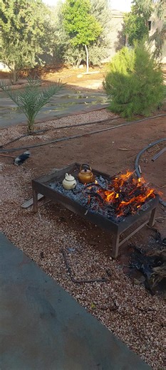 ربي يدوم النعمه والصحة والعافية يارب العالمين ويفكنا من كل شر يارب العالمين تحياتي لكم