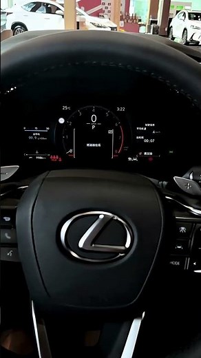 The New 2025 LEXUS RX300 Black Edition