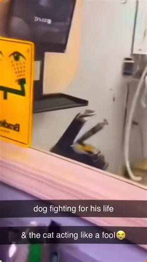 Hilarious Prank Ideas for Fun Moments