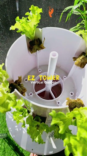 Fresh Lettuce Every Day? See How the EZ Tower Works 🥗 #gardening #hydroponics #diy