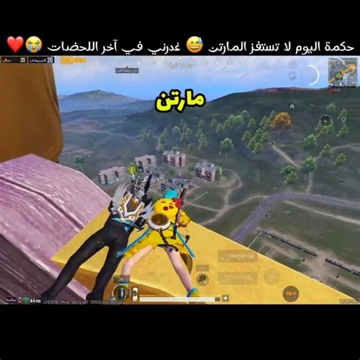حكمة اليوم لا تستفز المارتن 😅 غدرني في آخر اللحضات 😭❤️