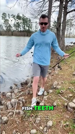 Fishing Line Damage Don't Lose Fish! Check Your Line!