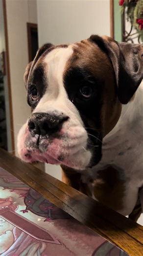 New year, same smacks! Hey besties! Mack sends his love and big ol’ potato soup kisses! #MackSmacks