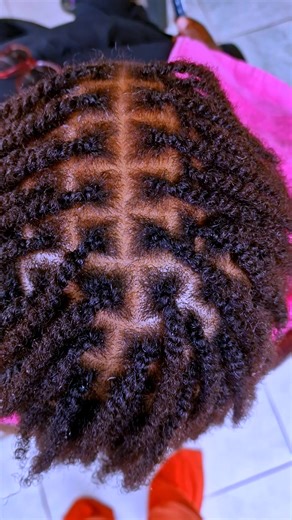 How to Create Mini Twists on Natural Hair