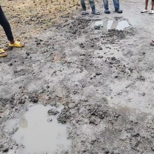 Adult Males Having Fun in Muddy Outdoor Setting