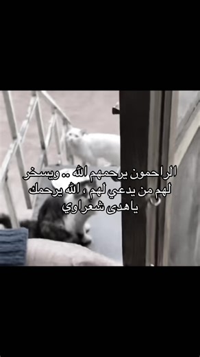 ‏#foryou #fpy #هدى_شعراوي #ام_زكي | singers shocked by fans singing