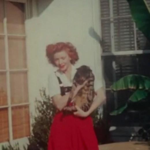 Remembering Lucille Ball and Desi Arnaz: A Tribute to the Classic Television Icons