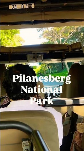 Pilanesberg National Park Safari, South Africa 🇿🇦 #travel #safari #vlog #wildlife #wanderlust
