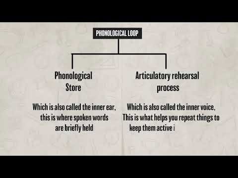 Introduction To Memory AP Psychology Review Unit 2
