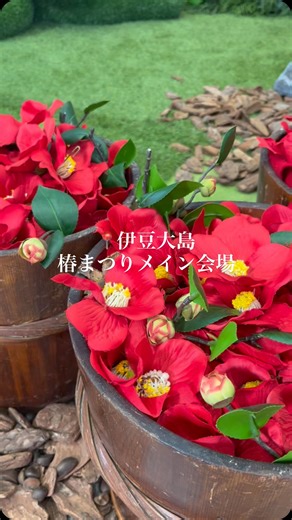 2/1からスタート！🌺 伊豆大島椿まつりメイン会場の様子を一部お届けします✨️ ⁡ 大島の魅力を体感できる素敵なブースばかり🥰 あんこさんも皆さんをおもてなしします✨️ ⁡ メイン会場元町港先客待合所にて お待ちしております🚢 #伊豆大島 #椿まつり | 大島町役場 観光課