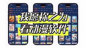 我愿称之为最强看番神器，自用一年稳定不易失效，画质超清热门冷门资源全都有