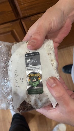 thetrippytricky on TikTok