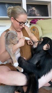 Myrtle Beach Safari Wild Encounters Tour on Reels