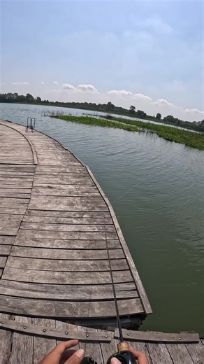 Mồi HR80 chuyên dùng câu lure cá chẽm, lure cá hoàng đế, lure đầm nước lợ. Mồi Horai 80 là mồi minnow sinking, lúa mềm câu đa năng nên có trong hộp mồi câu lure #hr80 #moicaulure #lurecahoangde #moiminnow #cauca