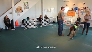 Bite Intervention Training For Everyone (B.I.T.E)
