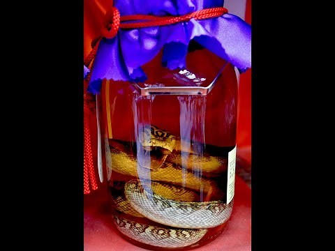 Okinawan Spirits - Awamori 泡盛 and Habushu (Snake Wine) ハブ酒