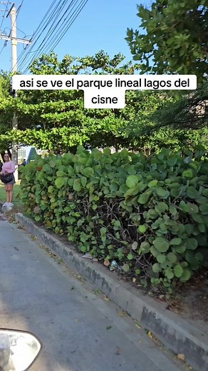 Parque Lineal Lagos del Cisne: Un Recorrido Visual