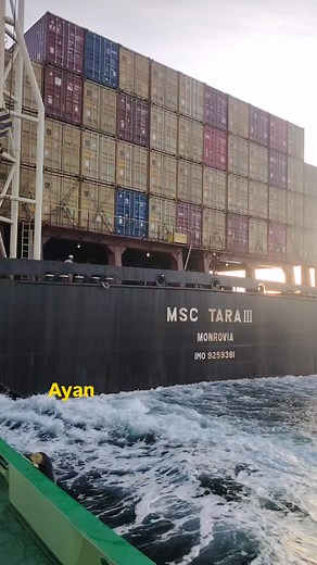 Docking maneuver #DockingManuever #fyp #viewers #followers #containership | Nonito Ocenar Ocasla