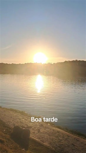 Os vídeos de Mario Borges (@mario.borges008) com som original - Mario Borges