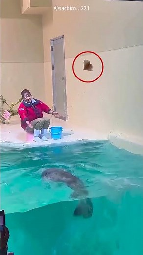 The Most Adorable Otter Ever 🦦✨