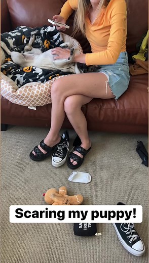 10K views · 142 reactions | Scaring my pug! I gave her lots of love afterward! #pugs #puppy | Danny N’s Kitchen | Facebook