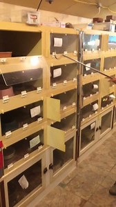 Kentucky Reptile Zoo on Reels