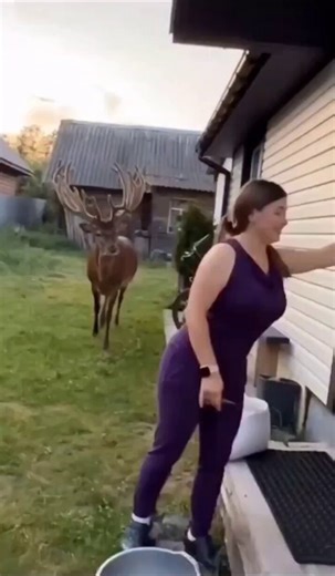 What a beautiful scene to welcome this beautiful deer in your backyard 🦌🌻