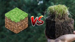 14K views · 354 reactions | Minecraft vs Real Life | ItsJerryAndHarry | Facebook
