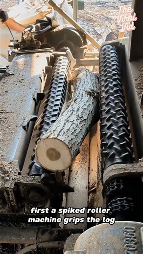 410K views · 347 reactions | From Tree to Timber: How Machines Perfect a Log in Minutes | The Viral Vid | Facebook