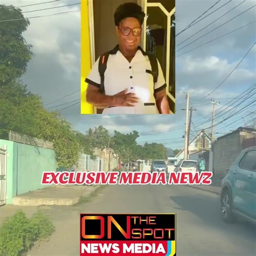 EXCLUSIVE_MEDIA_NEWZ (@exclusive_media_newz)’s video of new jersey news reporter
