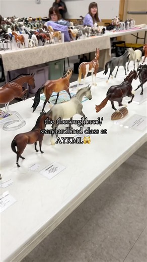 Not even surprised how big this class was😅 #breyer #breyerhorses #modelhorseshow #modelhorse