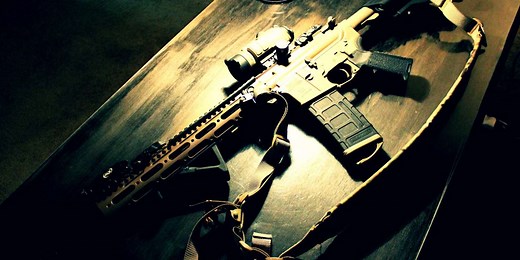 [Review] Palmetto State Armory PA-15: Bargain or Bust? – Firearm Review