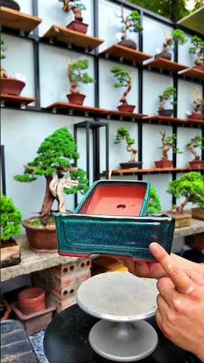 Combo 2 Chậu bonsai mini chữ nhật