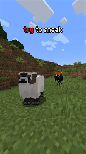 This sheep is untouchable... #minecraft #gameshorts #minecraftmods