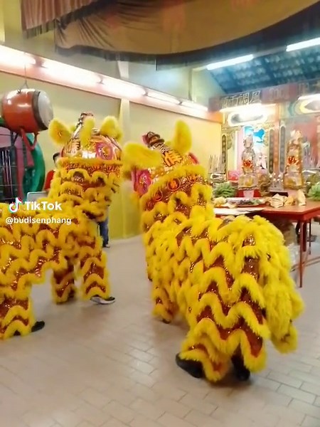 Traditional Chinese Lion Dance Performance