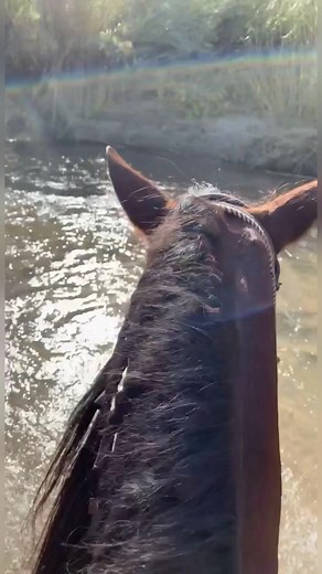 Trabajo en N Dior Three Piergrighting Center: Cabalgando al Jale