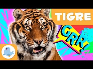 O tigre 🐯 Animais para crianças 🌲 Episódio 12